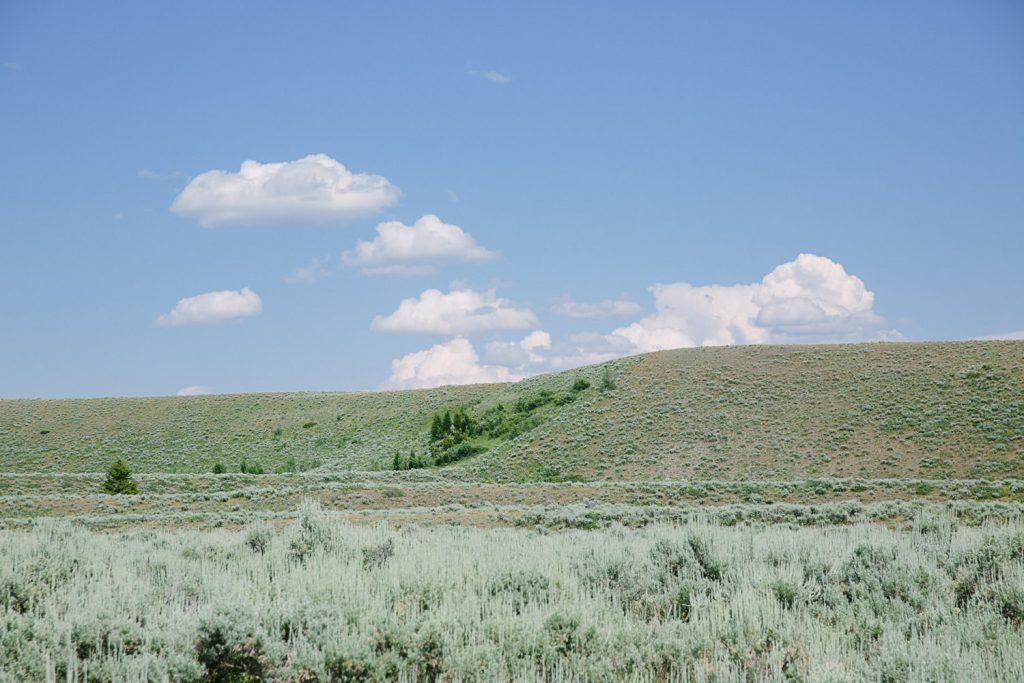 Grand Teton National Park Family Photography