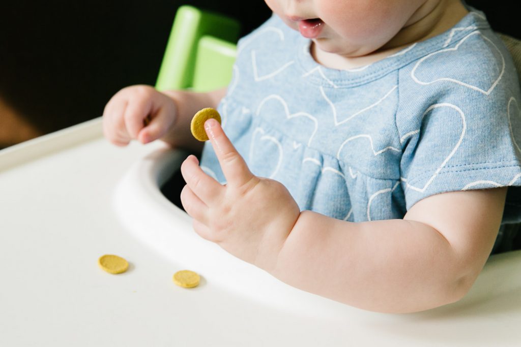 Jackson Hole Childrens Photography