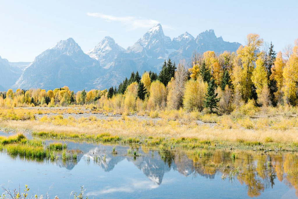 Grand Teton National Park Engagement Photography