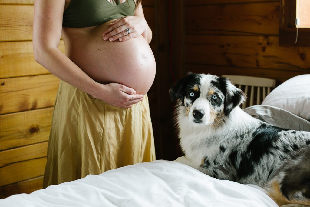 Teton Valley Pregnancy Photography