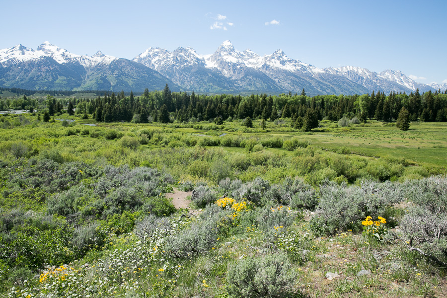 I love the idea that Lindsay and Alex decided to have their intimate destination wedding in Grand Teton National Park because they knew that it would be just as pristine and untouched 20 or 70 years from now, as it was on the day that they vowed to spend the rest of their lives together.