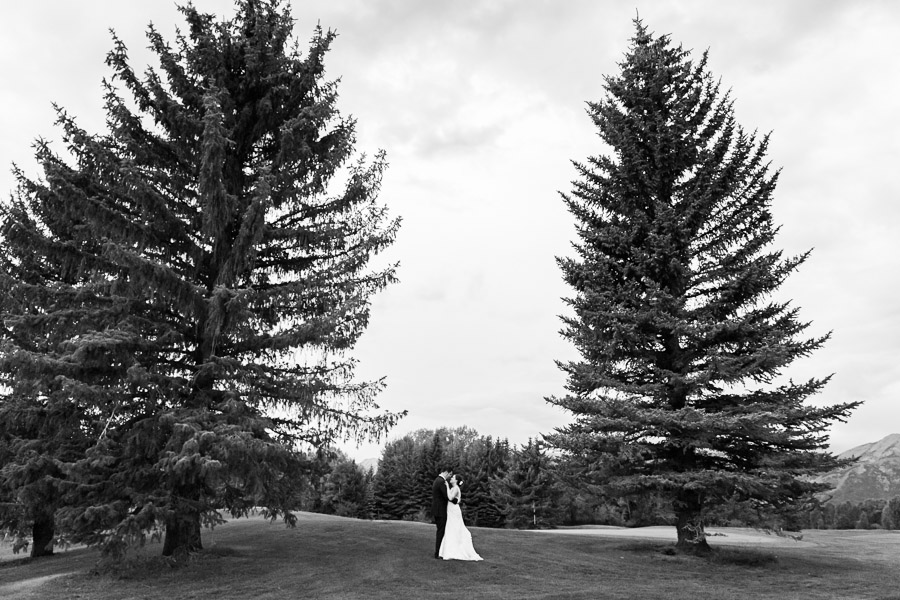 There is just something majestic about trees...